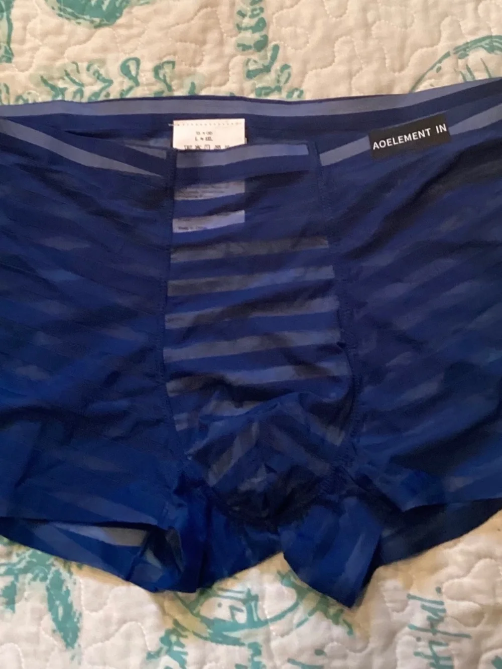 Blue semi transparent trunks, large